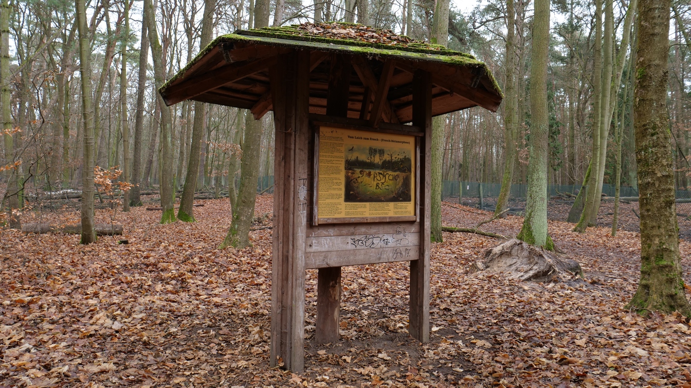 Info im Wald
