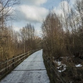 park 7
