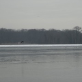 havel 24