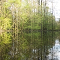 kuhlake-6