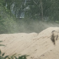sand