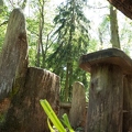 tisch
