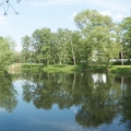 teich