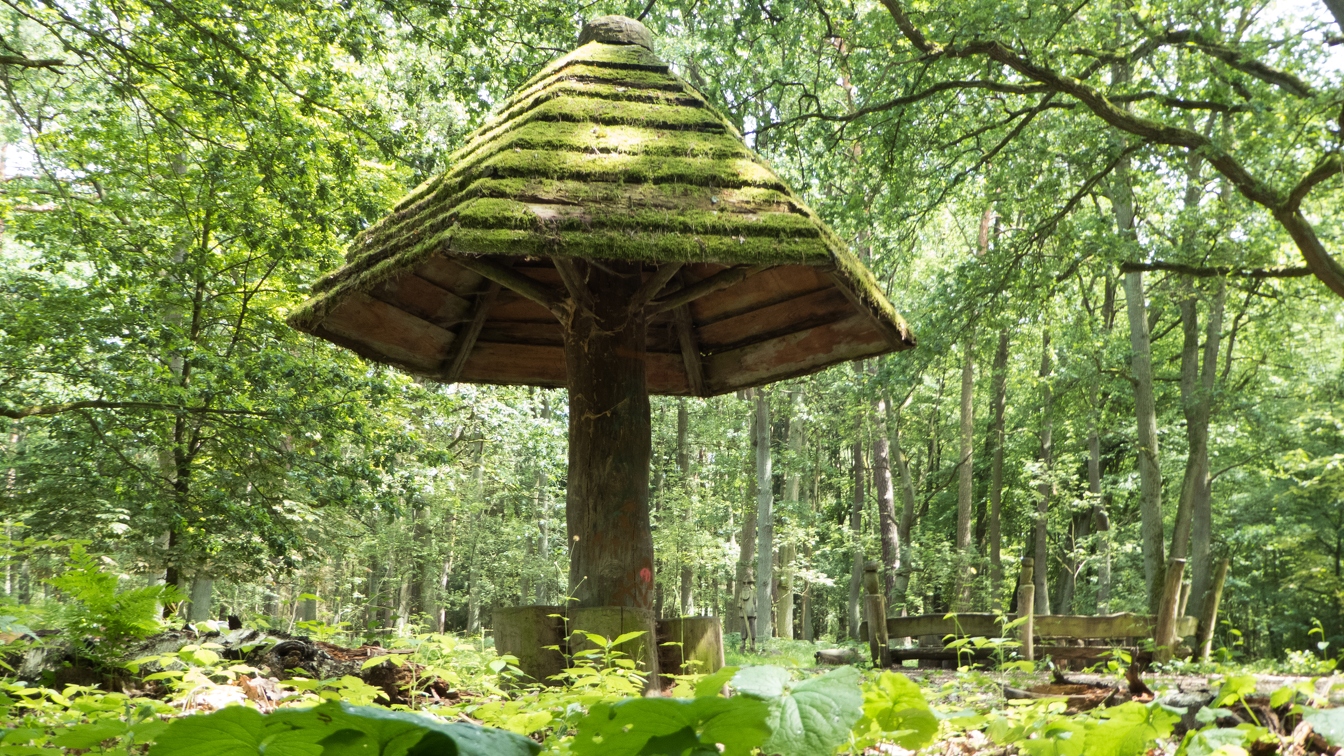 Pilzhaus im Wald