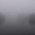 nebel-4.jpg
