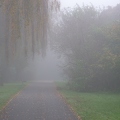 nebel-3.jpg