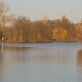 Havel am Kanal