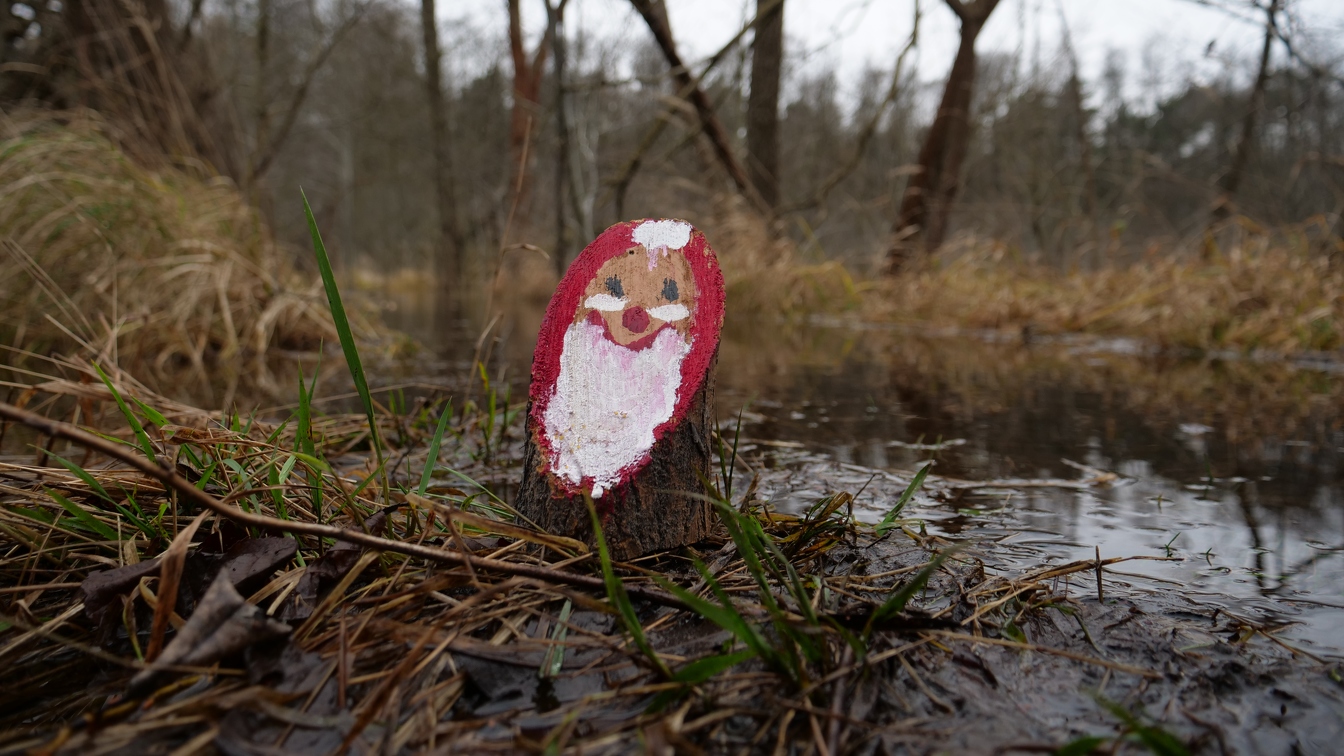 Weihnachtsmann im Sumpf