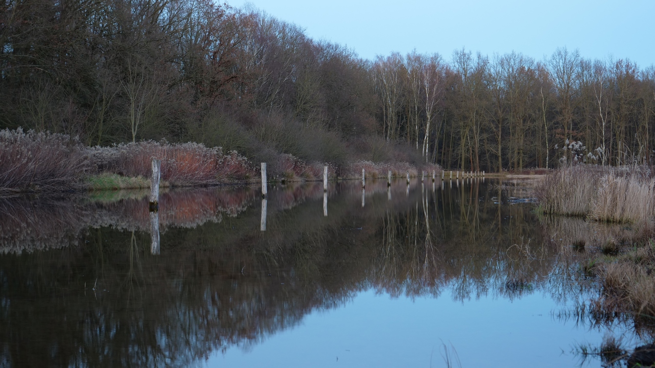 Teich am Kreuzgraben