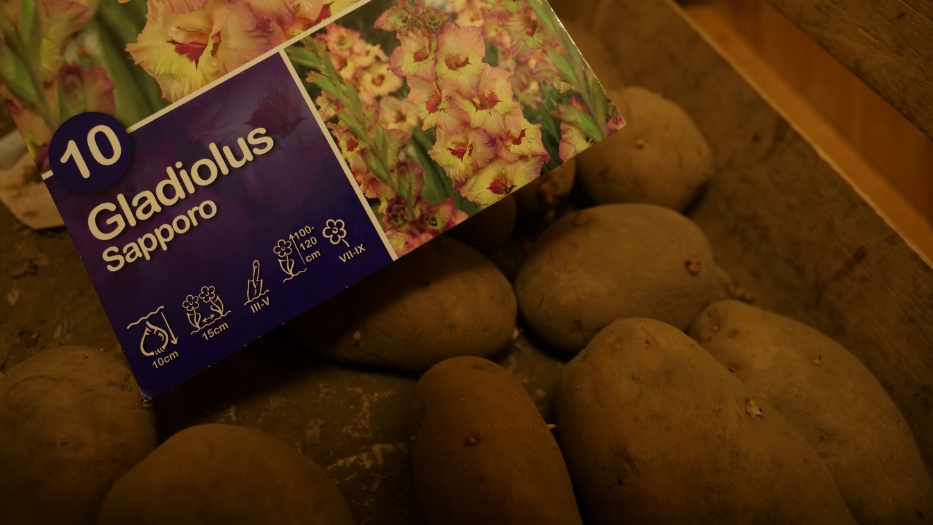 Blumen und Kartoffeln