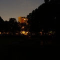 Park bei Nacht
