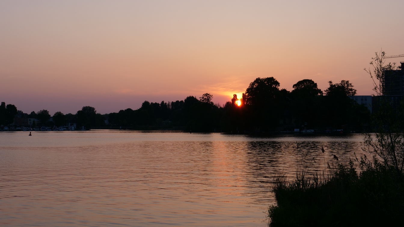 Sonne hinter der Havel