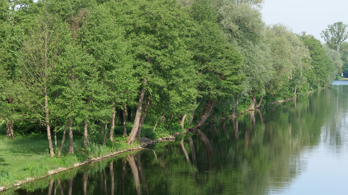 Am Berlin-Spandauer-Schifffahrtskanal