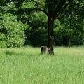 park-20.jpg