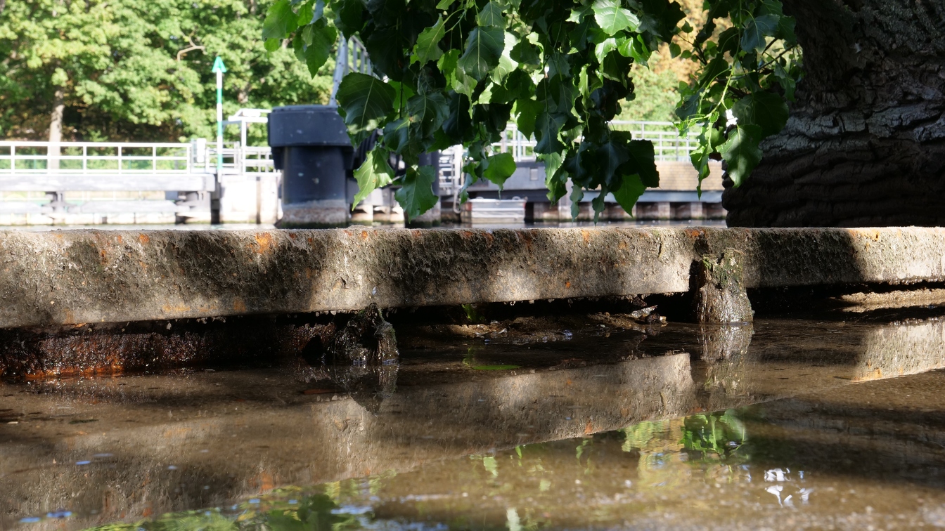 Niedrigwasser in der Havel