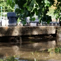 Niedrigwasser in der Havel