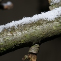 Etwas Schnee